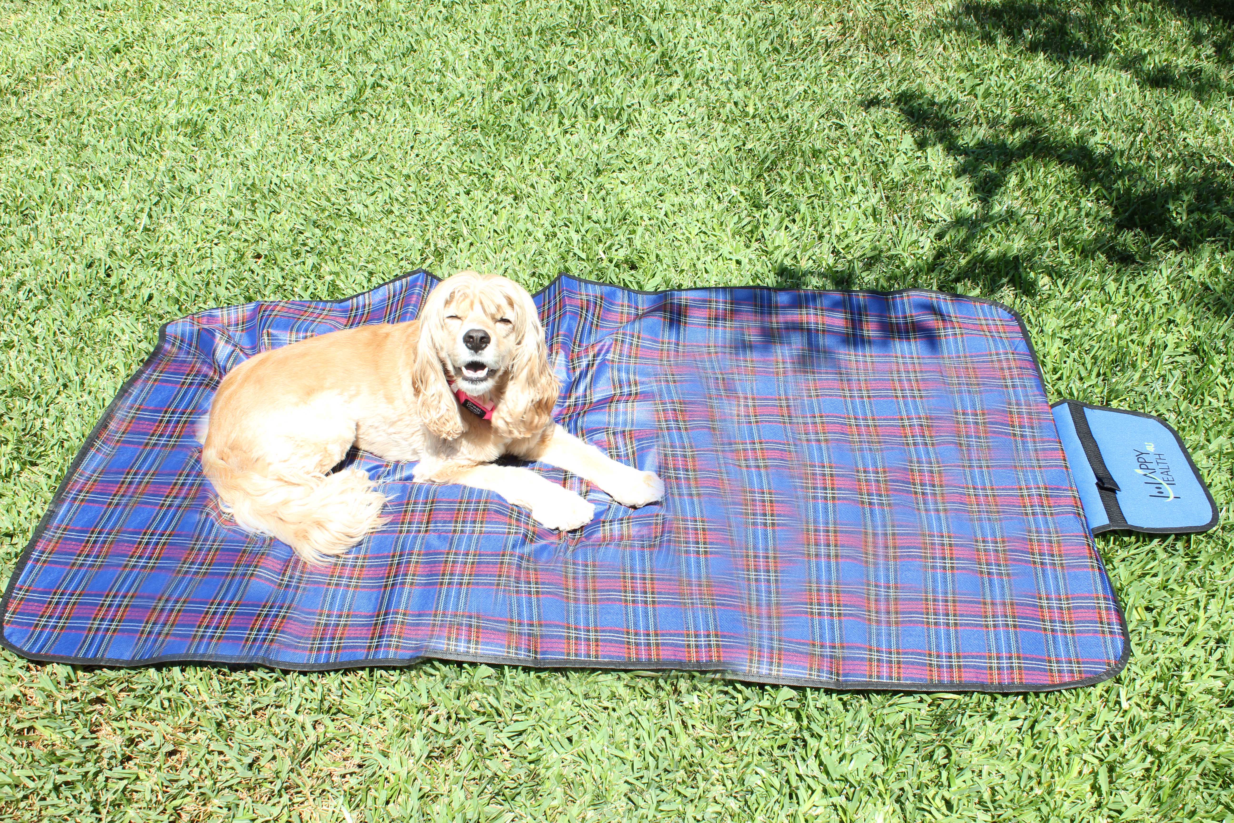 Beach Blanket for festival Beach Blanket that is 2-sided